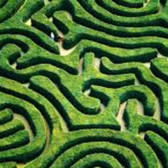 Maze