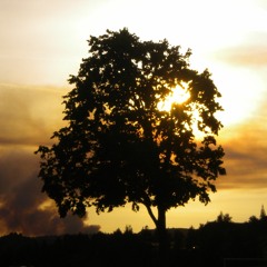 I'd Do Anything (Baroness Cover)