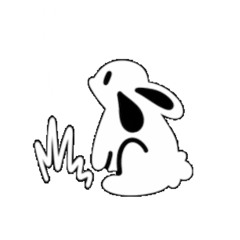 bunny