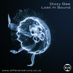 Dizzy Gee | April 3rd, 2021 | Different Drumz | Lost In Sound