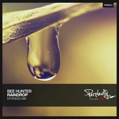 Bee Hunter - Raindrop (Extended Mix)