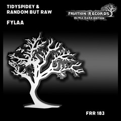 FR183  - TidySpidey & Random But Raw  -  FYLAA  (Fruition Records)