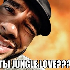 джей и молчаливый боб поясняют за jungle love