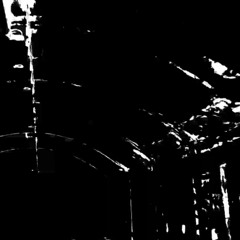 shadows. ft. chabella