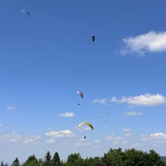 czego potrzebujesz, żeby być szalonym i wolnym?
