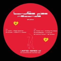 Limited Series 10 - 12" VA - CLIPS