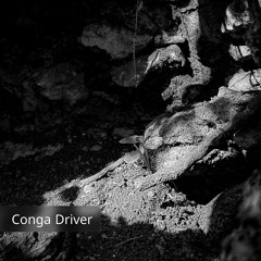 Conga Driver