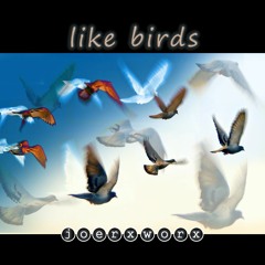 like birds