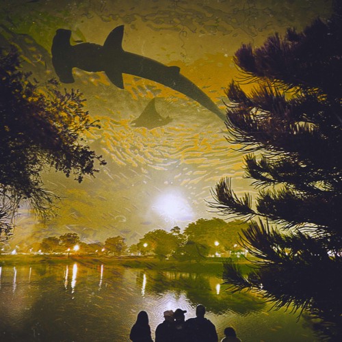 Missed calls (Aria1k)