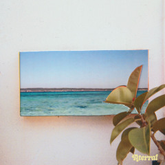 VA - V (incl. Black Loops, Austin Ato, Intr0beatz, Carlo, Asa Tate a.m.)