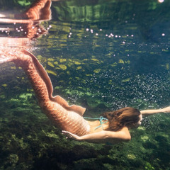 Tyler McGillivary | SS26 Runway Show | Mermaiden