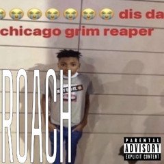 cockaroach