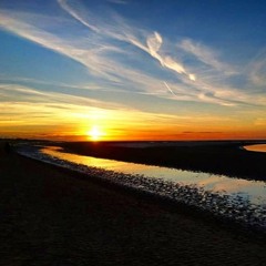 Paradise Peninsula Mix