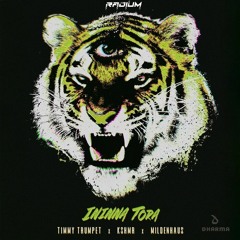 Timmy Trumpet x KSHMR x Mildenhaus - Ininna Tora ( RADIUM HARDTECHNO REMIX )