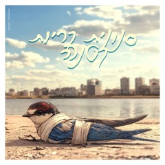 אוקטובר - סנונית קריות קטנה