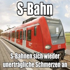 Nüsse sind gesund (2025 Weihnachtsspecial)