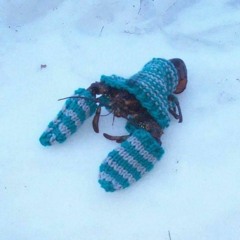 ALL I WANT FOR CHRISTMAS DRILL REMIX