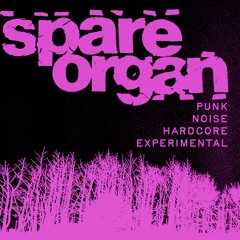 KZYX spareorgan Radio Show 012