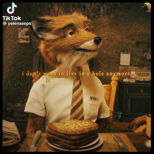 fantastic mr fox