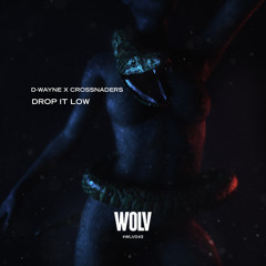 D-Wayne X Crossnaders - Drop It Low
