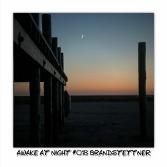 Awake at Night Podcast #018 brandstettner
