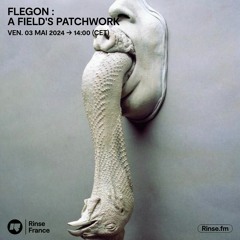 Flegon : A Field's Patchwork - 03 Mai 2024