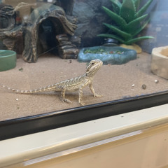 and i, (prod. siemspark)