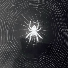 get busy @jayisfed #outlaws