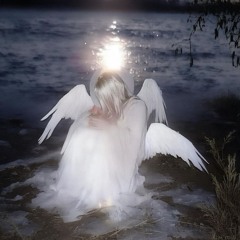 lucille- fallacy motel (new snippet)[OUT]