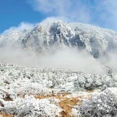 한라산 대들보