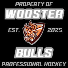 Wooster Bulls vs Toledo Mobsters 11-1-25