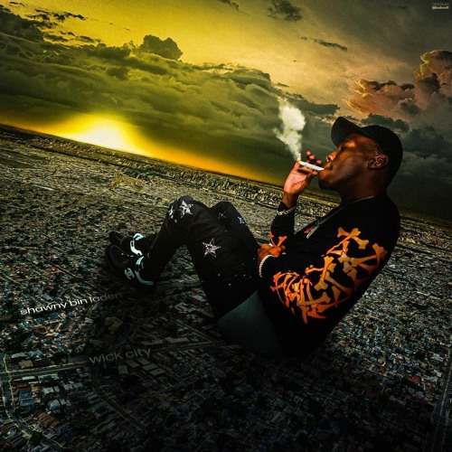 Shawny Binladen - Pop That Bish [Prod. Animism MRDA]