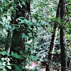 fall on me (prod. tec9beat)