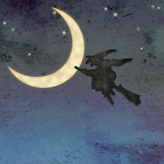 Defying Gravity (Schrub'n'Bass Remix)