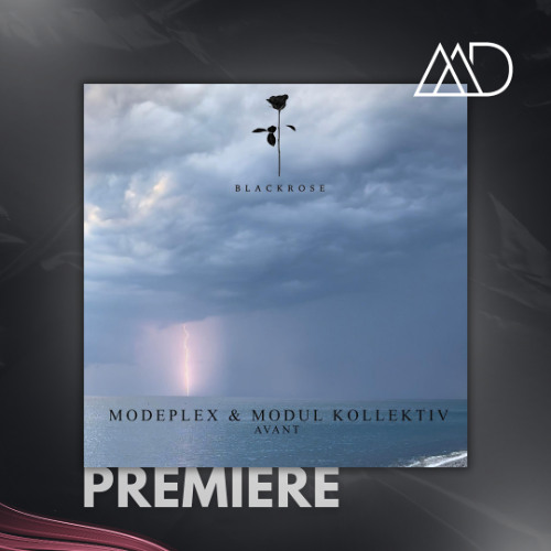 PREMIERE: Modeplex & Modul Kollektiv - From Sanity [Black Rose]