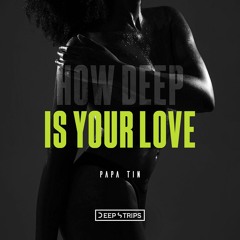 Papa Tin - How Deep Is Your Love (Radio Edit)