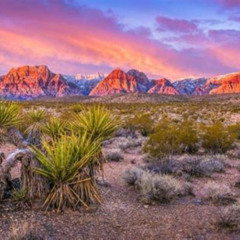 Review Special Price Sunset Hike And Photography Tour Near Red Rock With Optional 7 Magic Mountains