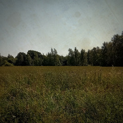 Post-Pastoral