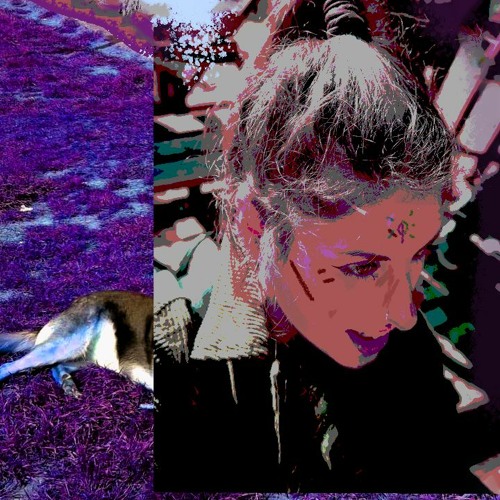 House Of Cards | Lazy Version