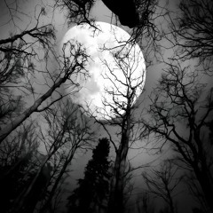 qaraqshy — z-beta 2 (remastered) x slowed+ [LrZ] (www.lightaudio.ru).mp3