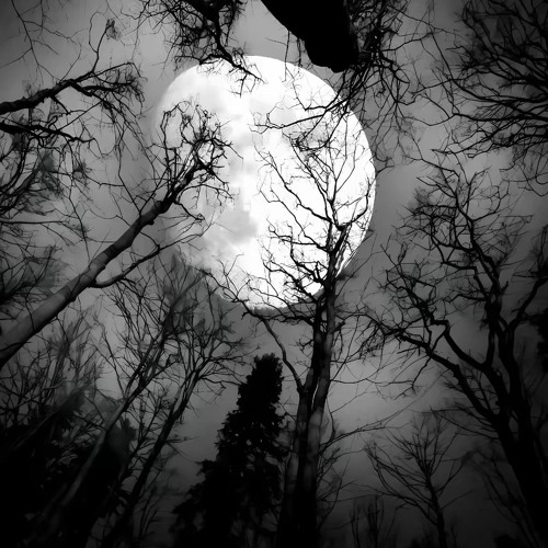 qaraqshy — z-beta 2 (remastered) x slowed+ [LrZ] (www.lightaudio.ru).mp3