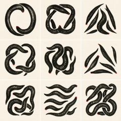 The Perfect Girl Parasite