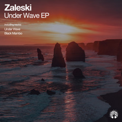 Zaleski - Under Wave (Original Mix)