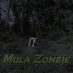 Mula Zombie Prod. Longboystyle (@fnreddd)