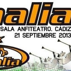 Dj Heavy - 17 Anv Animalia - Anfiteatro Cadiz 2013