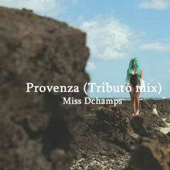 Provenza Karol G - Miss Dchamps (Tributo Mix)