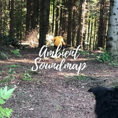 Trip into mountains - near walking path - birds, wood, cars - on 3/6/2021