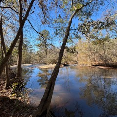 Reflect Within 135 Melodic Chill Journey