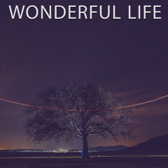 Wonderful Life (Extended)
