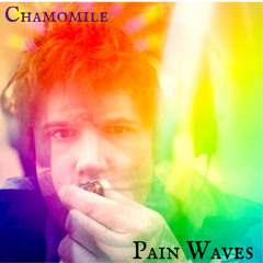 Chamomile